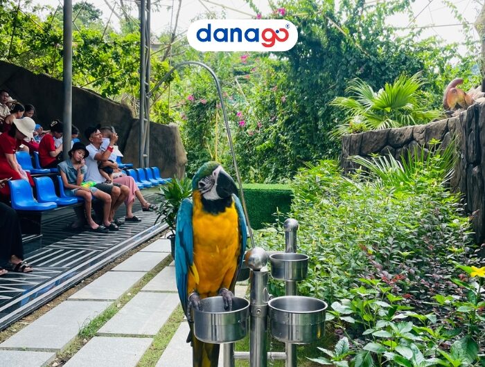 Nui Than Tai Hot Springs Park Ticket DANATICKET