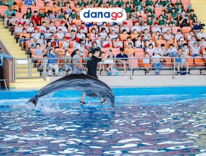 Vé xem show cá heo Đà Nẵng